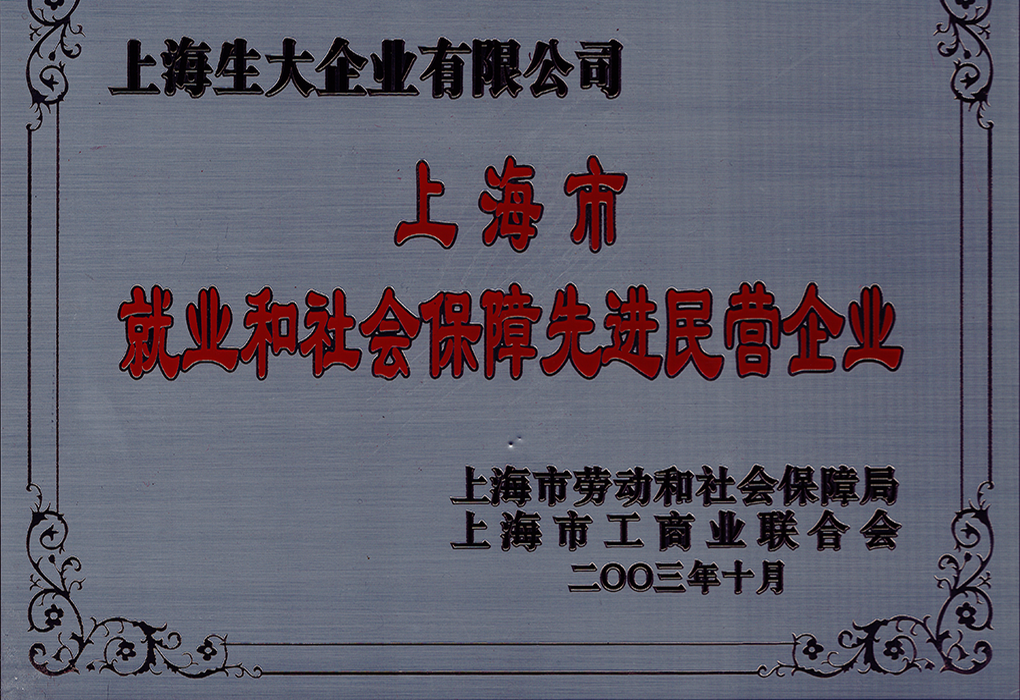 上海市就業和社會 保障先進民營企業
